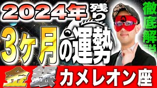 【ゲッターズ飯田】2024年最後の3ヶ月！予測する運勢の衝撃的真実【金のカメレオン座・銀のカメレオン座】 [upl. by Ginnifer]