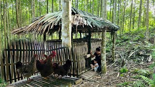 Building Our Dream Chicken Coop  New Chickens amp Ducks Arrive  Family Farm Adventures [upl. by Tereve]