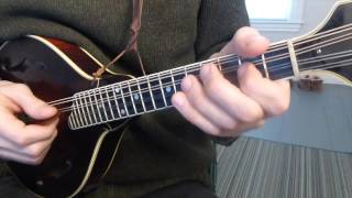 Cooleys Reel with Tabs  Mandolin Lesson [upl. by Ralleigh]