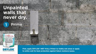 NEW DRYLOK® Wet Wall Bonding Primer [upl. by Larson]