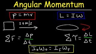 Angular Momentum  Basic Introduction Torque Inertia Conservation of Angular Momentum [upl. by Hirasuna]