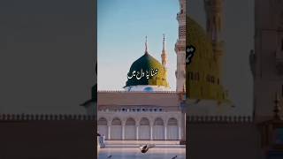 Tamanna ye Dil ma Solagti ha har dam ❤️madinenaat islam beautifulnaat islamic video subscribe [upl. by Budworth]