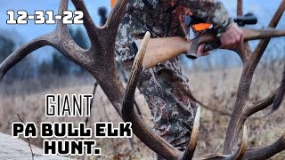 PA Record Elk hunt December 2022 elkhuntPA [upl. by Quincey]