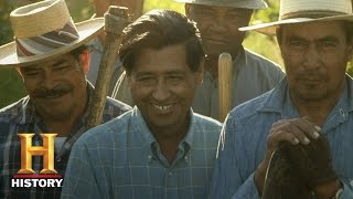 Cesar Chavez American Civil Rights Activist  Fast Facts  History [upl. by Hamilah]