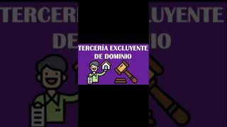 TERCERIA EXCLUYENTE DE DOMINIO [upl. by Adnauq]