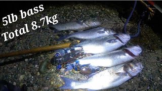 Coastal Foraging At Night On Big spring Tides [upl. by Anaujat]