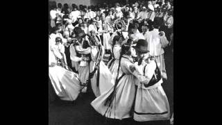 Tropotalu  Dance from Bihor area [upl. by Sexton]