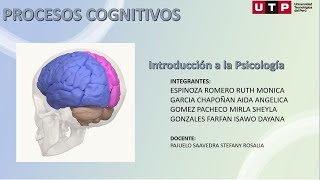 Procesos Cognitivos [upl. by Eldredge]