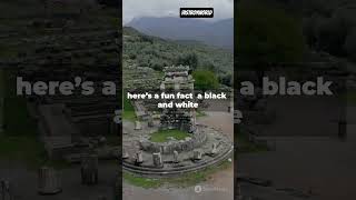 Discovering the Ancient Stadium of Delphi  history facts ancient ytshorts shorts [upl. by Ntisuj]