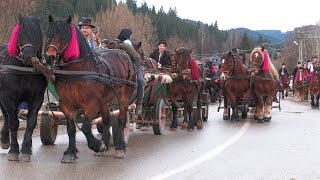 Parada cailor Moldovița  Bucovina 26 Decembrie 2023 [upl. by Duomham695]