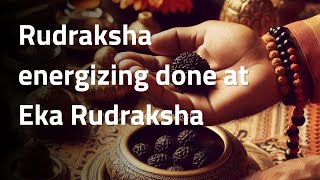 Rudraksha energization abhimantrit process at Eka Rudraksha [upl. by Raney]