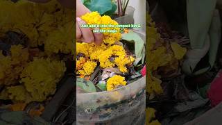 Making compost from the flowers used during Diwali♻️ composting shorts plant ytshorts gardening [upl. by Cathie]