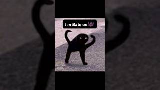 Im Batman 🦇 cat edit meme capcut [upl. by Dorena]