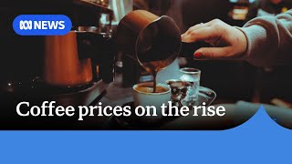 Australian coffee prices to hit new highs  ABC NEWS [upl. by Presber488]