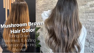 MUSHROOM BROWN  Toning Down BRASSY Hair amp Adding DIMENSION [upl. by Bentley165]