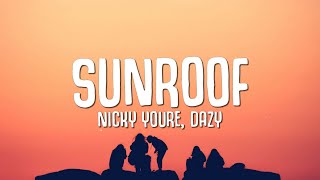 Nicky Youre dazy  Sunroof Lyrics i got my head out the sunroof [upl. by Akimit]