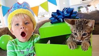 BIRTHDAY KITTEN SURPRISE  Ollie’s 3rd Birthday Special [upl. by Dyl]