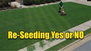 Reseeding Lawns  Does and Donts [upl. by Ahsieket]