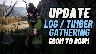 Spot Update Log and Timber Gathering 1 hour  2024 Edition  Black Desert Online [upl. by Geiger]