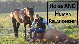 HORSE amp HUMAN RELATIONSHIP [upl. by Ailem]