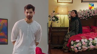 Shadi Ki Pehli Raat Hai Aur Dulhan Akeli minsamalik mirzazainbaig  Mohabbat Reza Reza  HUM TV [upl. by Euton]