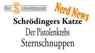 Schrödingers Katze  Der Pistolenkrebs  Sternschnuppen Nerd News [upl. by Auberbach528]