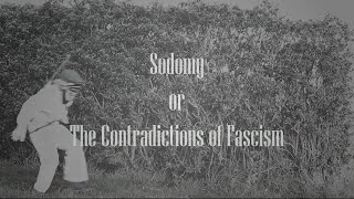 Salò  The Most DISTURBING Films of All Time pt 7 [upl. by Eelaras403]