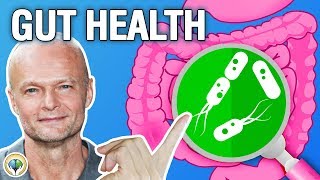 Why Is Gut Health Important  Health and Wellness [upl. by Ahseem]