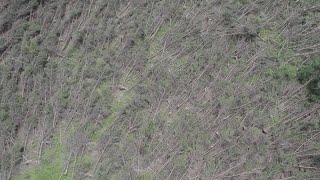 Lowell anticyclonic tornado damage from drone [upl. by Nichol]