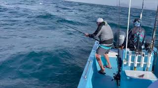 Yellowtail Fishing at Cedros Island [upl. by Bertrand577]