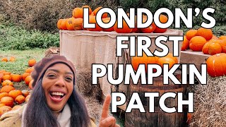 LONDONS FIRST PUMPKIN PATCH 🎃🍂  Hobbledown Heath [upl. by Aniham307]