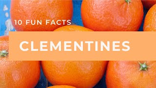 10 Fun Facts About Clementines [upl. by Annaoj]