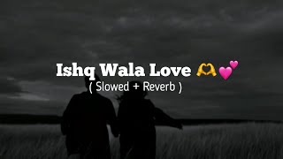 Ishq Wala Love  Slowed  Reverb 🌚🫶💗 [upl. by Margarida]