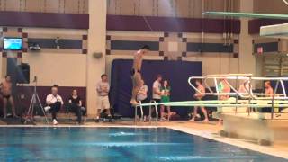 2011 SCAC Swim and Dive Championships Mens 1Meter [upl. by Eanat]