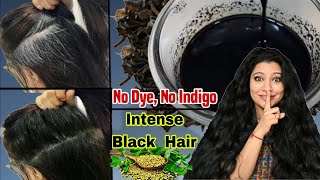 No DyeNo Indigo No Henna Get 100Black Hair Naturally amp Reverse Premature Greying ।Garima Singh । [upl. by Onid717]