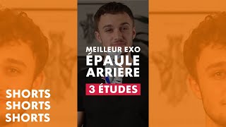 Meilleur exercice pour larrière de lépaule 3 études [upl. by Finstad179]