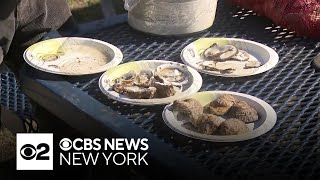 Oyster Fest returns to Oyster Bay Long Island this weekend [upl. by Bashemath798]