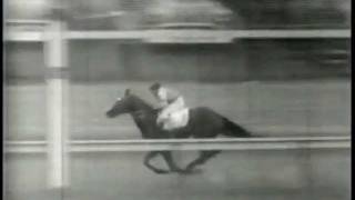 1954 Kentucky Derby Winner Determine [upl. by Trever]