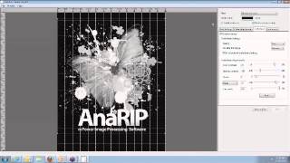 AnaRIP 20 Webinar [upl. by Nedla]