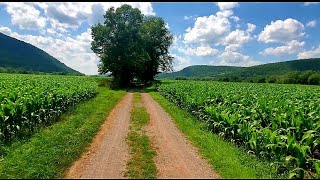 THE CATSKILL SCENIC TRAIL  26 MILES ROXBURY TO BLOOMVILLE NY [upl. by Gaven]