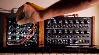 Arjen Schat  Sequential Session Single Oscillator [upl. by Lanti512]