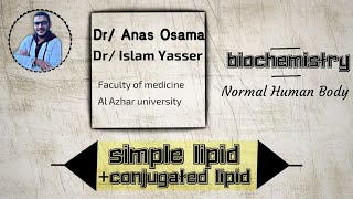 L7  Bio  NHB  Lipid 2 [upl. by Eirroc]