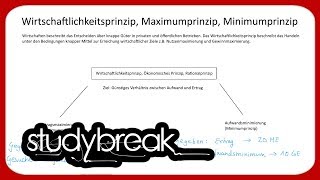 Wirtschaftlichkeitsprinzip Maximumprinzip Minimumprinzip  Betriebswirtschaftslehre [upl. by Cory412]