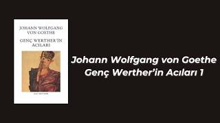 Johann Wolfgang von Goethe  Genç Wertherin Acıları 1 [upl. by Ennairak898]