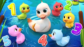 5 Little DucksLearn Colors Song  Lalafun Nursery Rhymes amp Kids Songs  cocomelon [upl. by Coyle80]