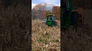 John Deere 4020 picking corn tractorpower shorts farming johndeeere harvest24 [upl. by Christian]