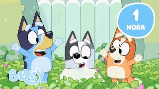 🔴AO VIVO Aventuras de Primavera com Bluey 🌸 💙  Melhores Momentos de Bluey  Bluey [upl. by Teuton]