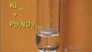 Double Displacement Lead Nitrate and Potassium Iodide [upl. by Dekow586]