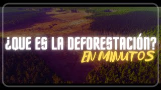 LA DEFORESTACIÓN en minutos [upl. by Zephan]