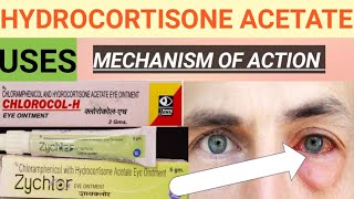 HYDROCORTISONE ACETATE EYE OINTMENT  CHLORAMPHENICOL WITH HYDROCORTISONE ACETATE EYE OINTMENT [upl. by Snell]